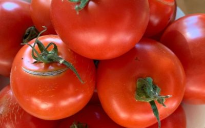 Itse tehty ketsuppi itse kasvatetuista tomaateista 